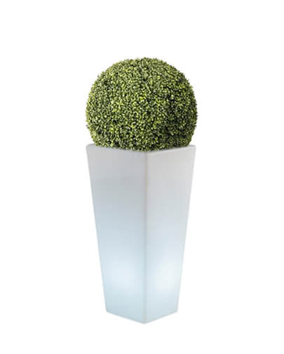 Noleggio pianta sfera eco siepe e vaso Y-Pot luminoso - NoleggioDesign